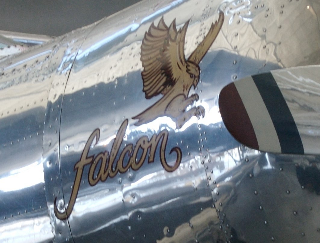 falcon