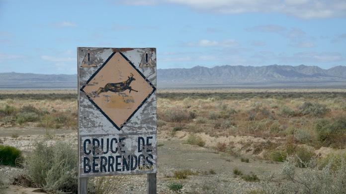 Sign - Pronghorn Crossing, Baja California Sur