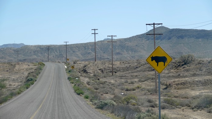 Sign, Baja California Sur1
