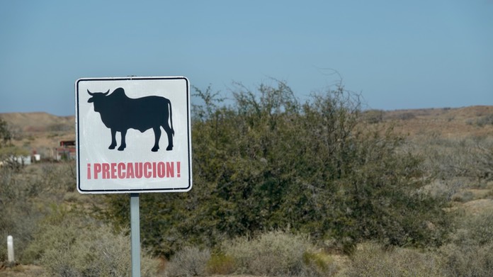 Sign, Baja California Sur