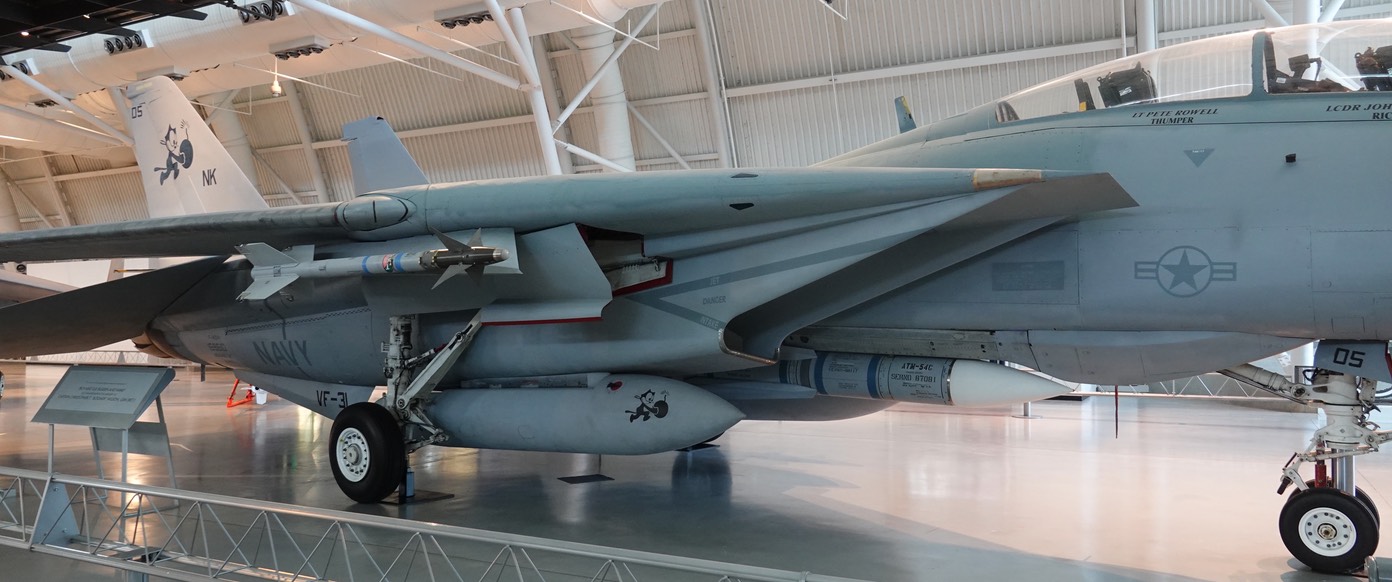 Grumman F-14D(R) Tomcat (3)